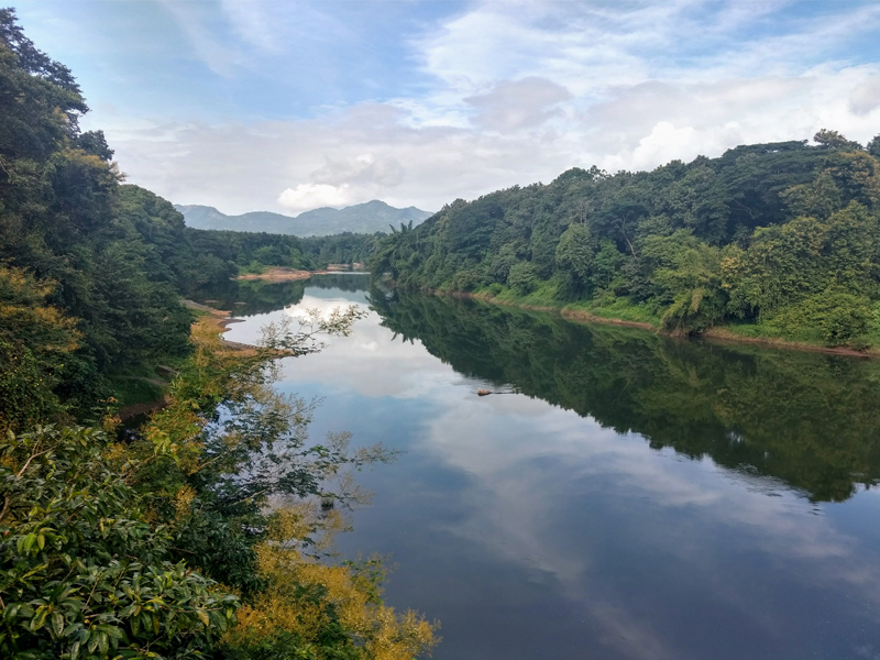 Kerala River Basin Conservation Management Framework approved
