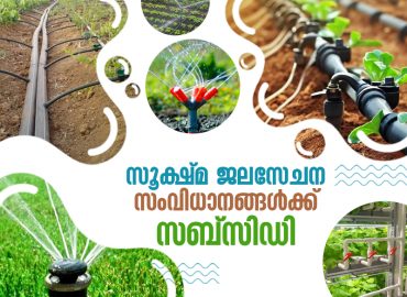 Subsidy for micro-irrigation systems